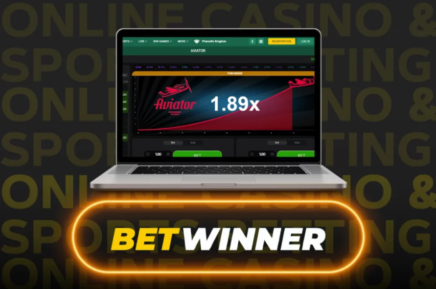 Exploring the Features of Betwinner Bookmaker